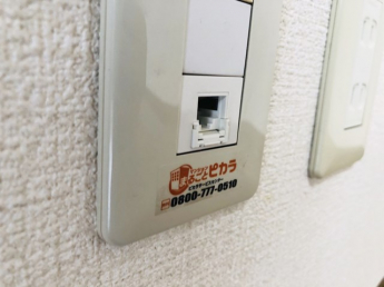 【ドミールN竹原】ピカラのインターネットが無料