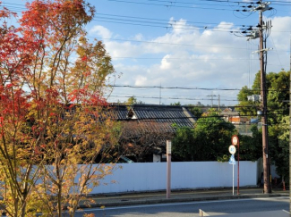 紅葉の綺麗な街路樹と国宝・彦根城が望めますよ♪