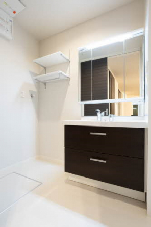 三面鏡シャワー付き洗面台です