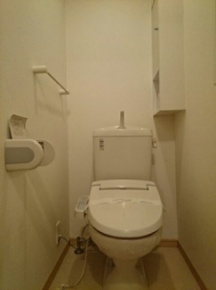 落ち着いた色調のトイレです