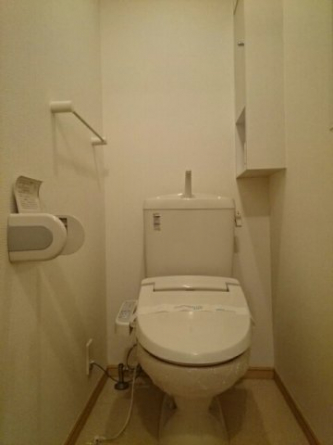 落ち着いた色調のトイレです