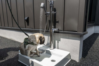 ペット用外水道