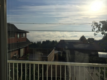 その幻想的な光景は、ここでしか味わえない特別な時間をもたらします。