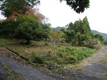 付属区画399㎡　家庭菜園やドッグラン等に