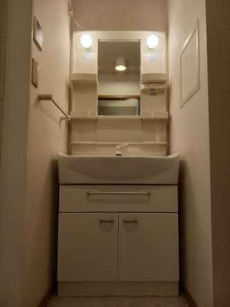 スペースが確保できる洗面所です