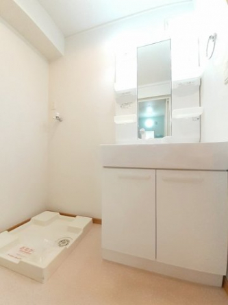 忙しい朝には欠かせない洗面所です