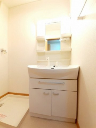 忙しい朝には欠かせない洗面所です