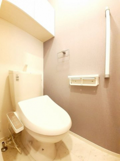 落ち着いた色調のトイレです