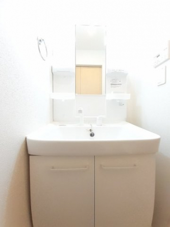 スペースが確保できる洗面所です