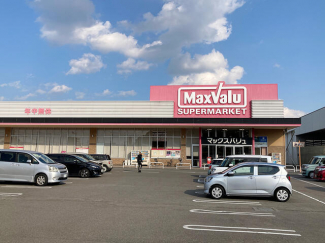 マックスバリュ西の土居店まで900m