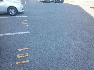 パルネット辻井の画像