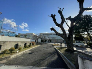 松山市立 三津浜小学校まで433m