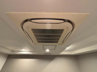 第１３シャルマンの画像