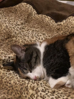 ペット可物件です　宜しくお待ち致します！