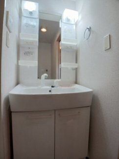 忙しい朝には欠かせない洗面所です