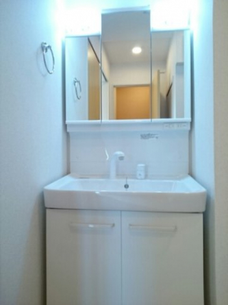 スペースが確保できる洗面所です