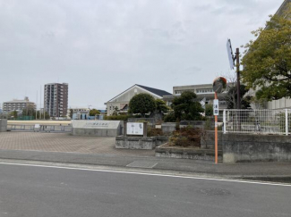 松山市立福音小学校まで245m