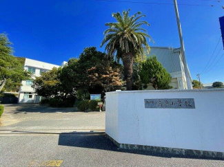 松山市立 高浜小学校まで1071m