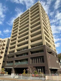 ２０２３年２月撮影