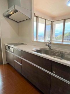 ２０２３年２月撮影