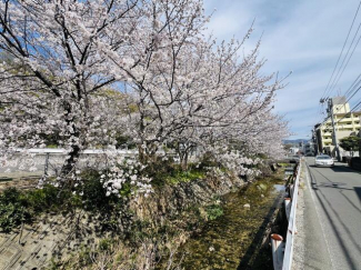 松山市道後樋又の売地の画像