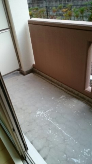 陽当たり良好なバルコニーです