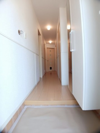 落ち着いた玄関です