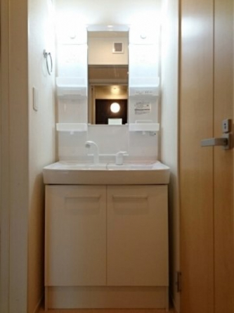 スペースが確保できる洗面所です