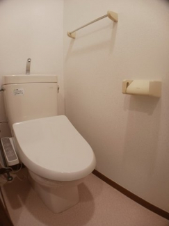 落ち着いた色調のトイレです