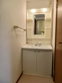 忙しい朝には欠かせない洗面所です