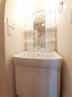 スペースが確保できる洗面所です