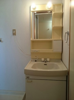 スペースが確保できる洗面所です