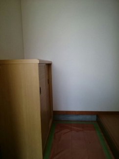 落ち着いた玄関です