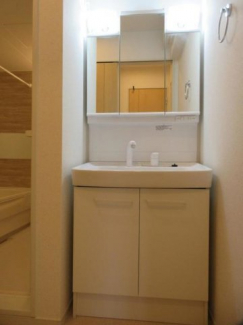 忙しい朝には欠かせない洗面所です
