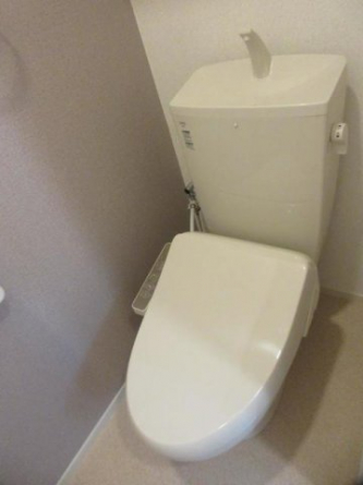 落ち着いた色調のトイレです