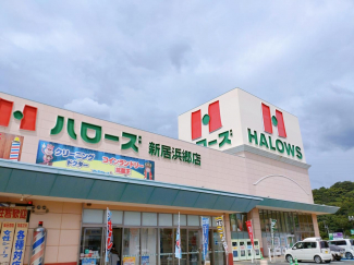 ハローズ新居浜郷店まで397m
