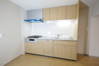 食器洗い乾燥機付きです。