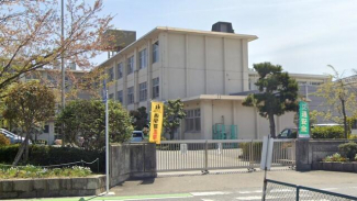 彦根市立城南小学校まで1242m