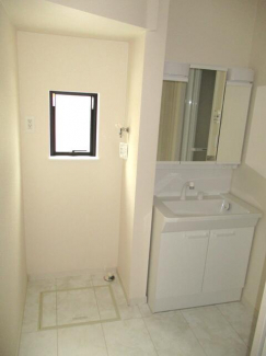 鏡の裏も収納量も多いです