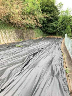 松山市内宮町の売地の画像