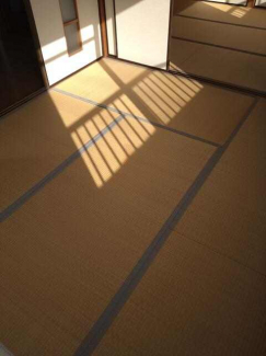 セントルローズの画像