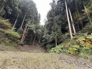 松山市宿野町の売地の画像