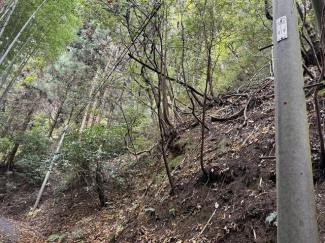 松山市宿野町の売地の画像