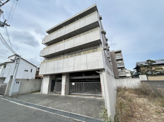 外観もきれいです