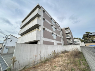 外観もきれいです