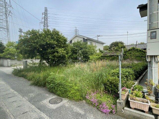 北西側から撮影