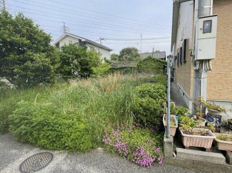 北西側から撮影