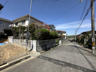 2026年04月12日撮影