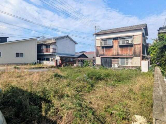 現地写真（２０２４年１１月撮影）