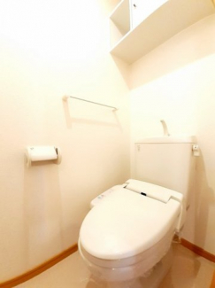 落ち着いた色調のトイレです